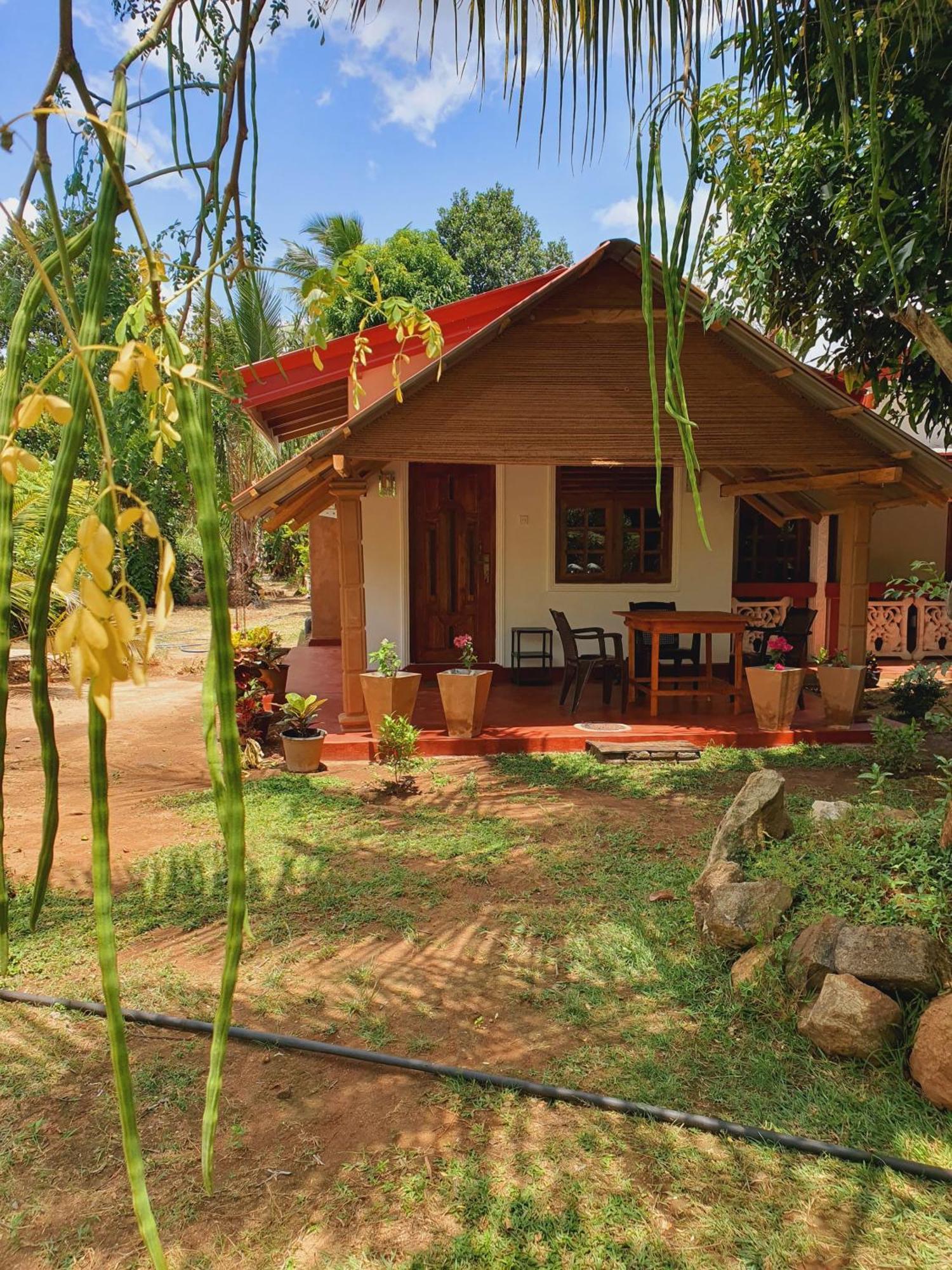 Jungle Eco Lodge & Safari Сігірія Екстер'єр фото